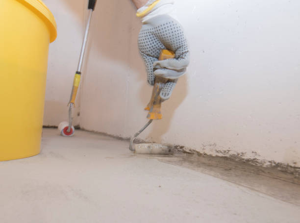 Best Real Estate Pest Inspections  in Kearny, AZ